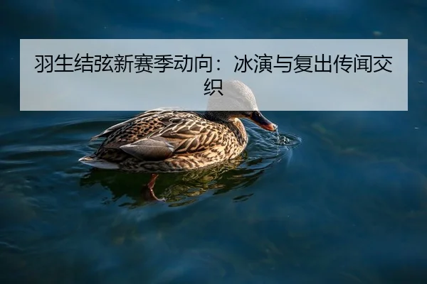 羽生结弦新赛季动向：冰演与复出传闻交织