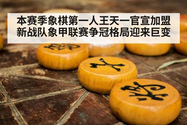 本赛季象棋第一人王天一官宣加盟新战队象甲联赛争冠格局迎来巨变
